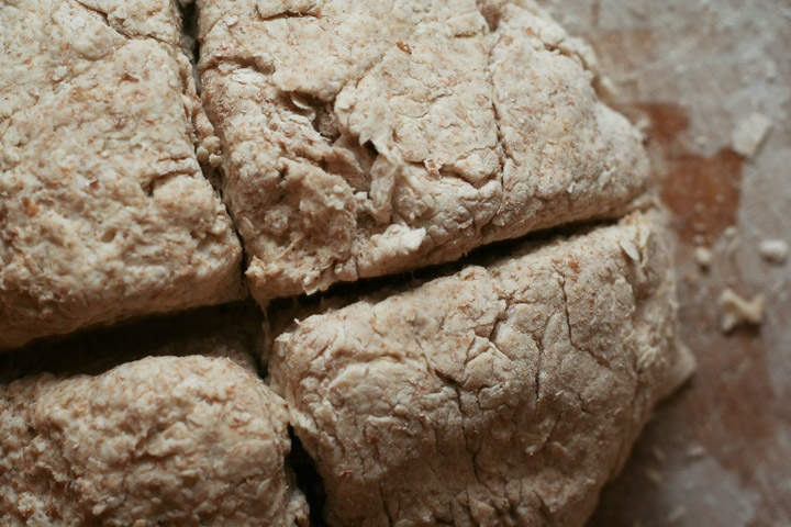 dough